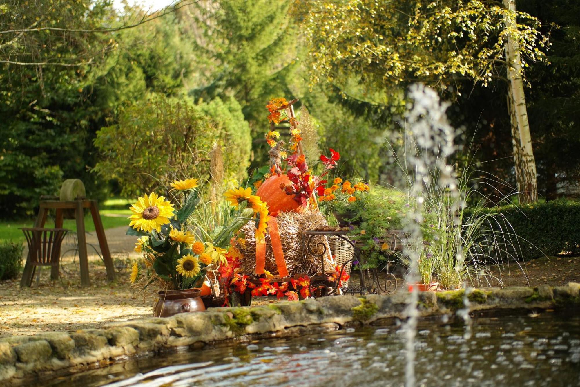 Harzer Feriengarten Кведлинбург Екстериор снимка