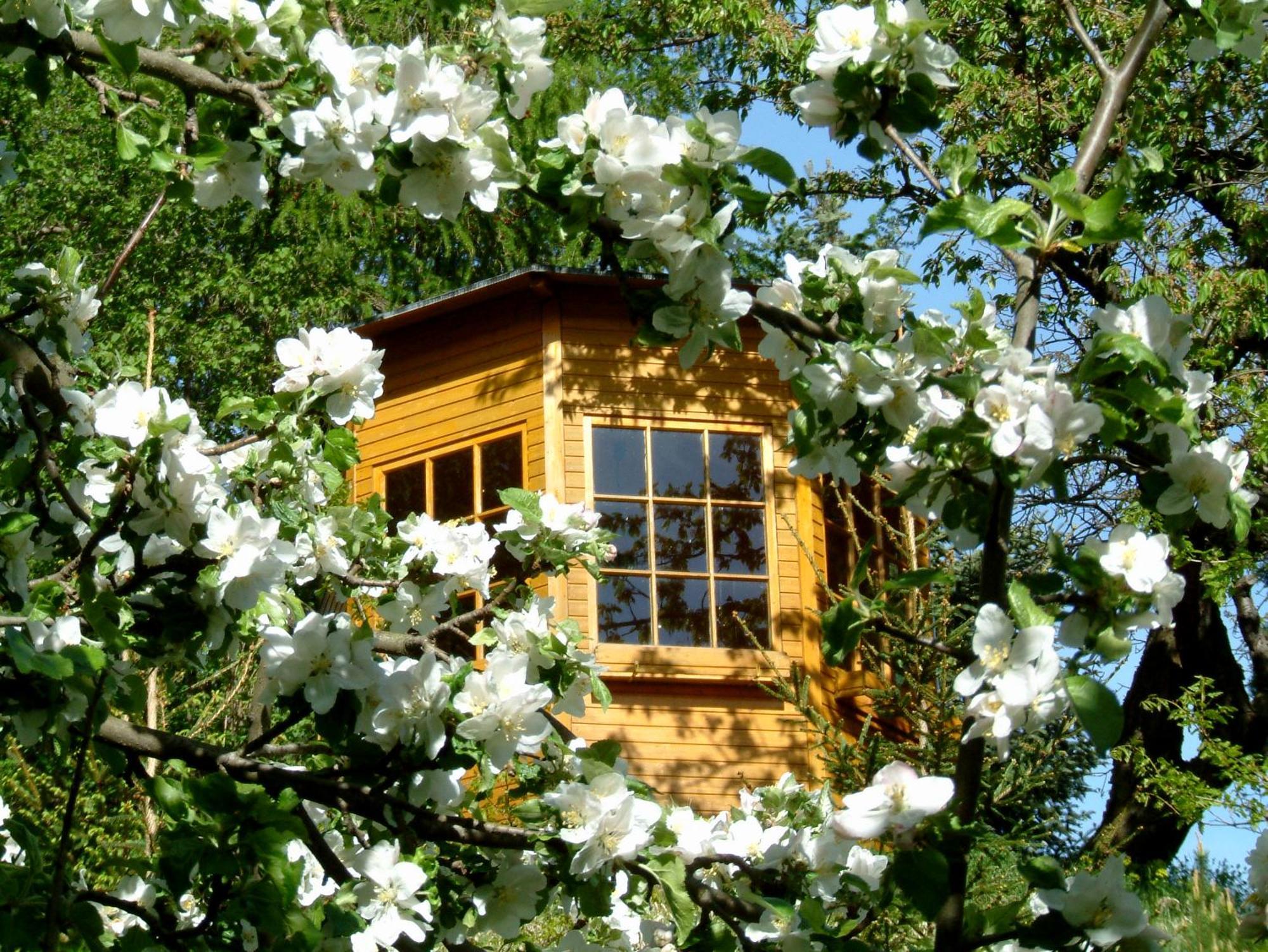 Harzer Feriengarten Кведлинбург Екстериор снимка