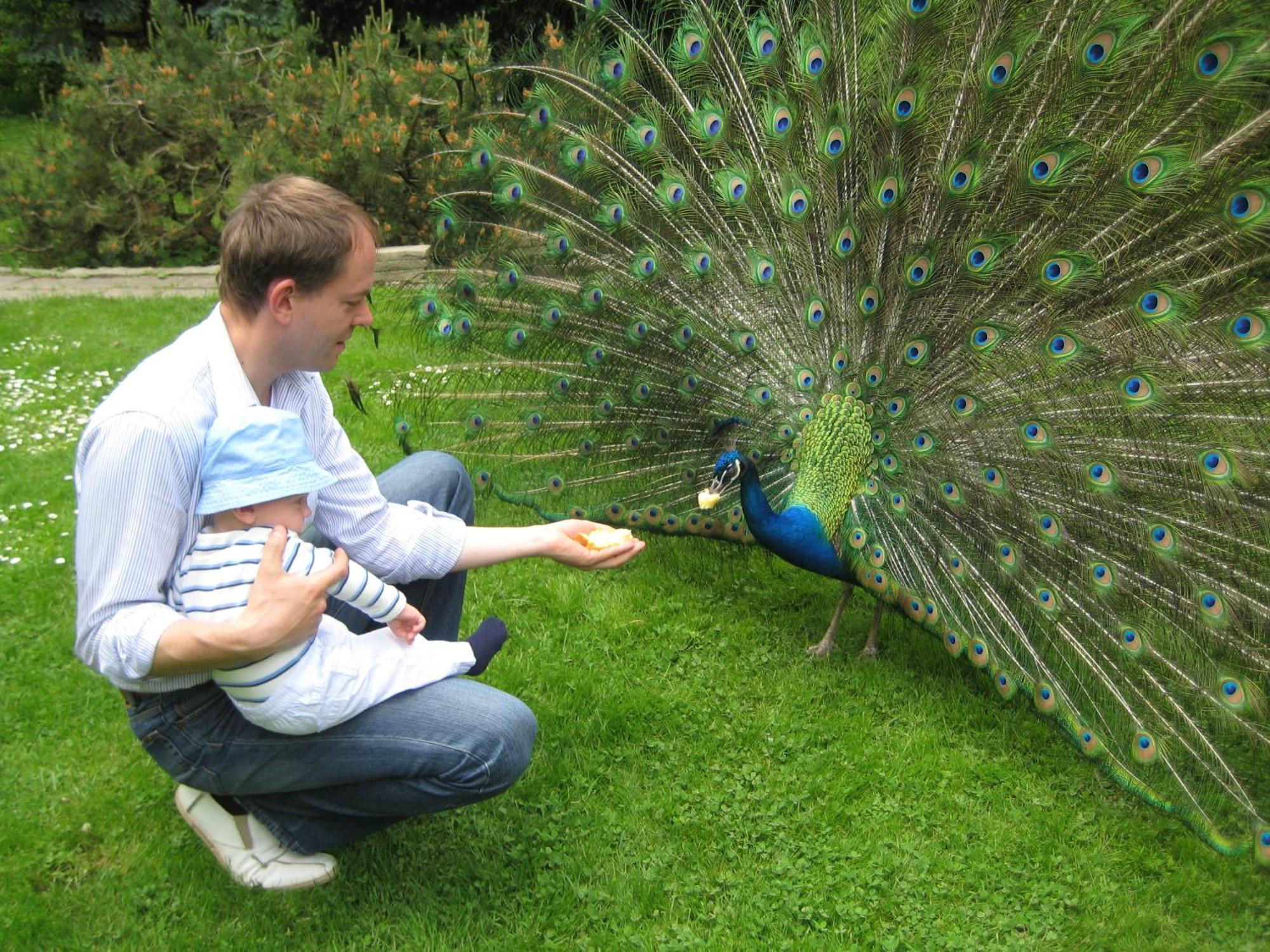 Harzer Feriengarten Кведлинбург Екстериор снимка