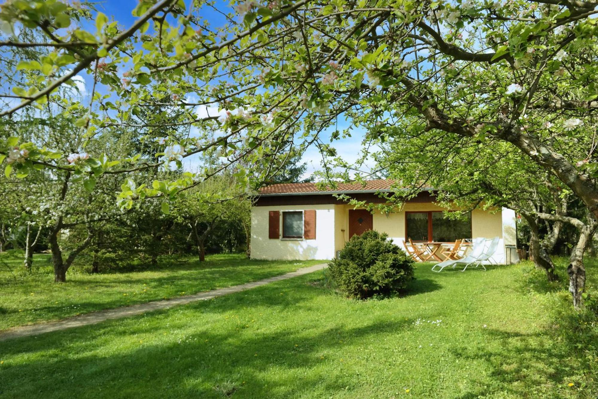 Harzer Feriengarten Кведлинбург Екстериор снимка