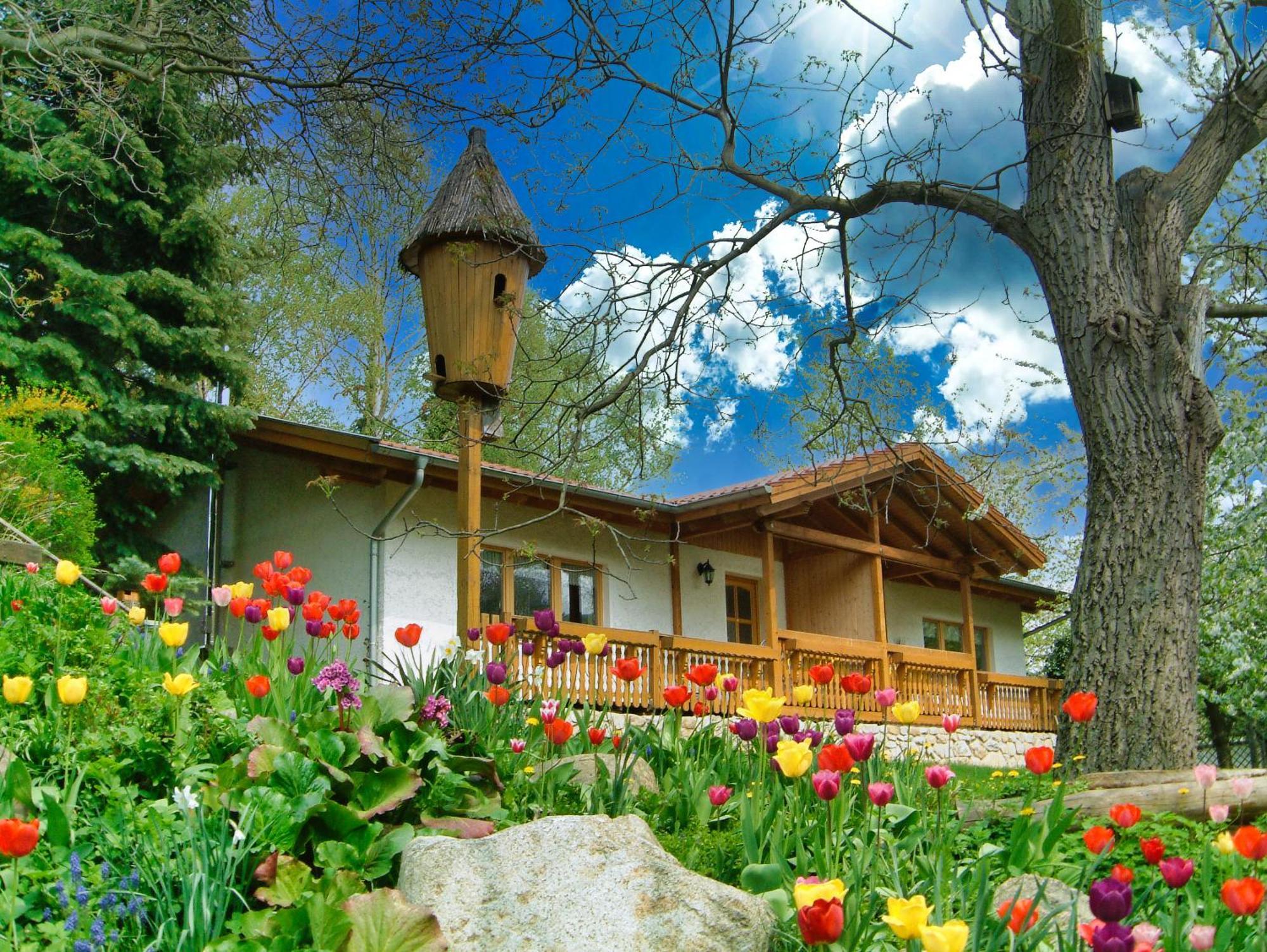 Harzer Feriengarten Кведлинбург Екстериор снимка